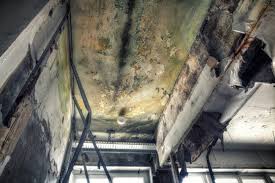 Mold Remediation for Rental Properties in Twinsburg, OH